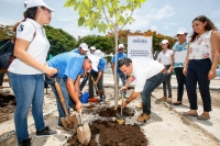 Siembran árboles en el estacionamiento del Cementerio Xoclán