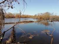 Ex basurero de Mérida, inundado