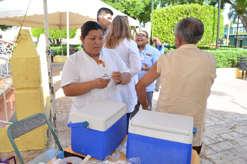 Comuna participaría en campaña contra influenza