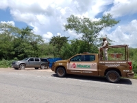 Aseguran predio en la Mérida-Cancún por presunto huachicoleo 