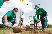 Avanza a buen ritmo la Cruzada Forestal