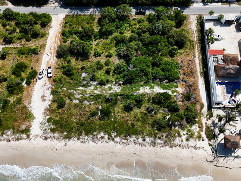 Frena Profepa desarrollos inmobiliarios