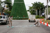 Decoran avenidas y parques de la ciudad