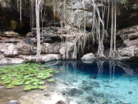 Impulsan protección de cenotes y cuevas de Yucatán