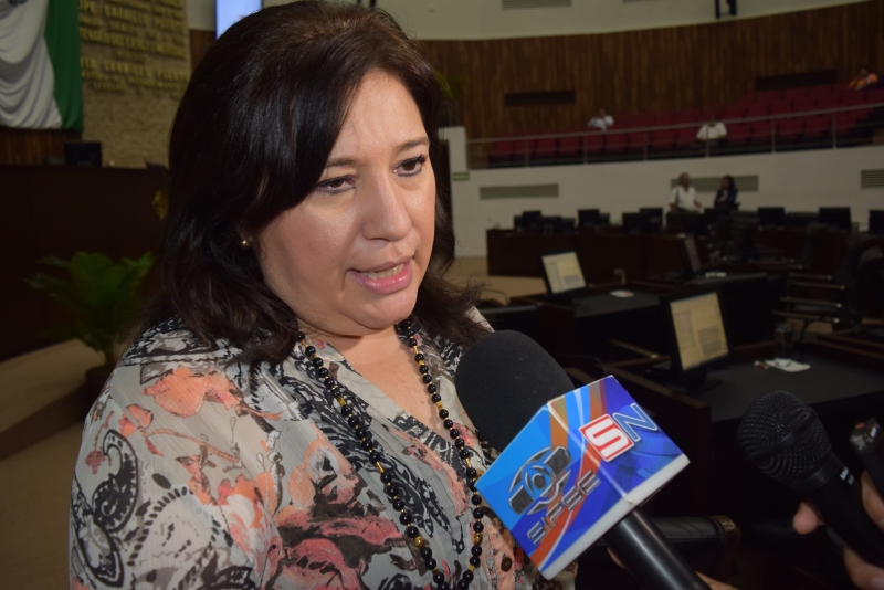 Espectaculares de Sahuí no afectan trabajo en Congreso: Celia
