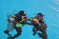 Impartirán curso de buceo en el Kukulcán