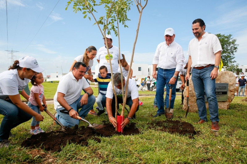 Llama Ayuntamiento a conservar árboles plantados