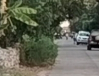 Investigan tiroteo con dos muertos en Dzilam Gonz&aacute;lez