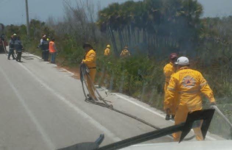 Combaten incendio en manglar de Sisal