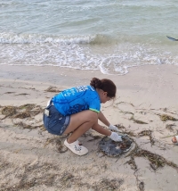 Hallan tortuga sin vida