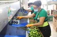 Más de 14 mil empleos se han recuperado en Yucatán