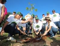 Siembran 3 mil arbolitos en Ciudad Caucel