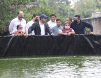 Producción de tilapia se consolida en el Oriente yucateco