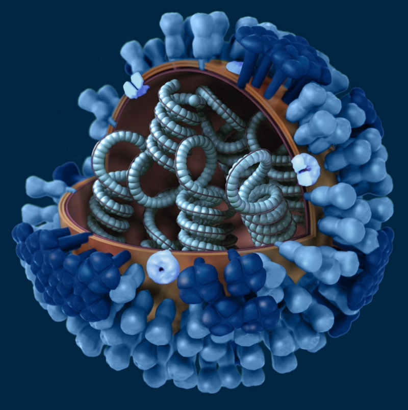 Pandemia de influenza durante la revolución mató a más de 7 mil