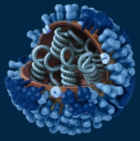 Pandemia de influenza durante la revolución mató a más de 7 mil