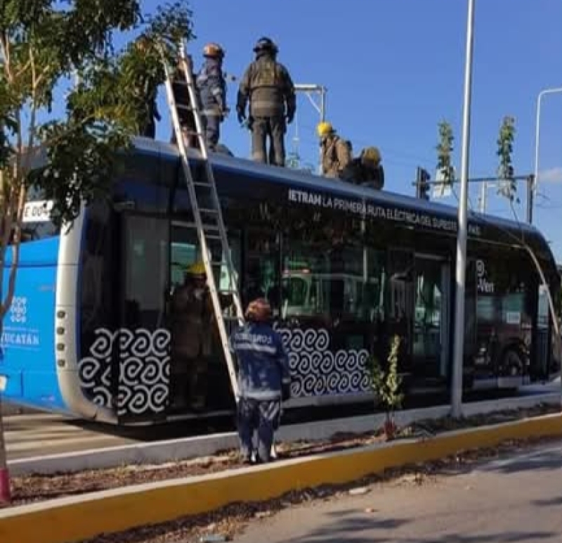Investigan conato de incendio en autobús de Ie-Tram