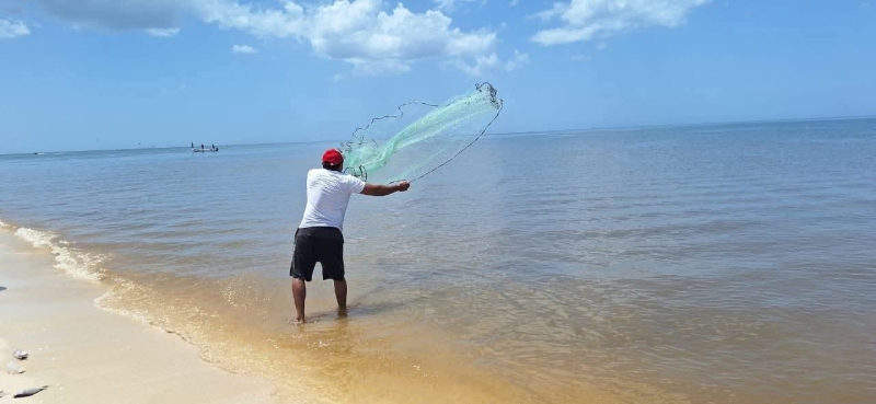 Se mantiene alerta por marea roja en Yucatán