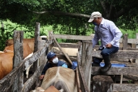 Destacan beneficios de Programa &quot;Veterinario en tu Rancho&quot;