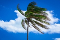 Prev&eacute;n surada este fin de semana en Yucat&aacute;n