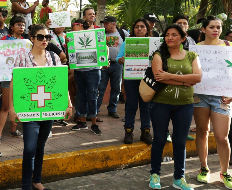 Legalización de la marihuana, en dos años máximo: Roa