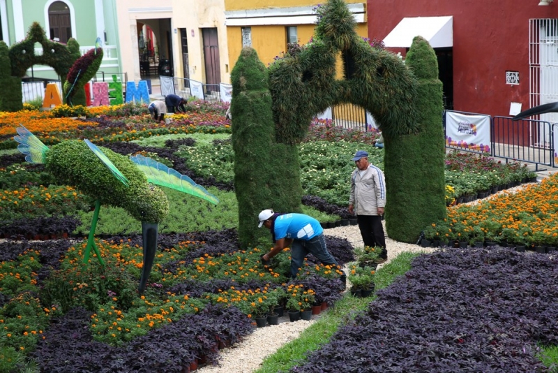 Miles de personas visitaron el “Camino de Flores”