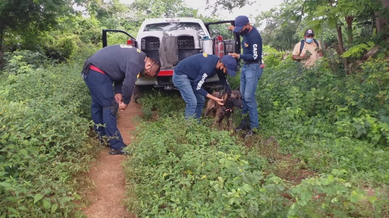 Operativo para encontrar a Érika en Huhí no ha dado resultados