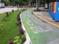 Coordinadora Ciudadana vuelve a arremeter contra ciclovía