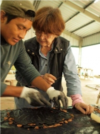 Gerda Gruber y Margarita Molina recibirán Medalla Yucatán