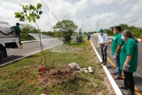 Cruzada Forestal 2020 a punto de llegar a la meta: Renán Barrera