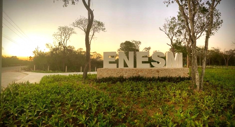 Impartirá ENES Mérida licenciatura en ecología