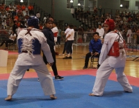En marcha, Copa Halcones de taekwondo de la zona sureste