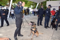 Capacitan binomios caninos de cuerpos de seguridad