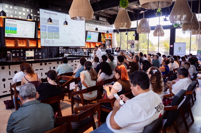 Presentan soluciones para aprovechar el sargazo